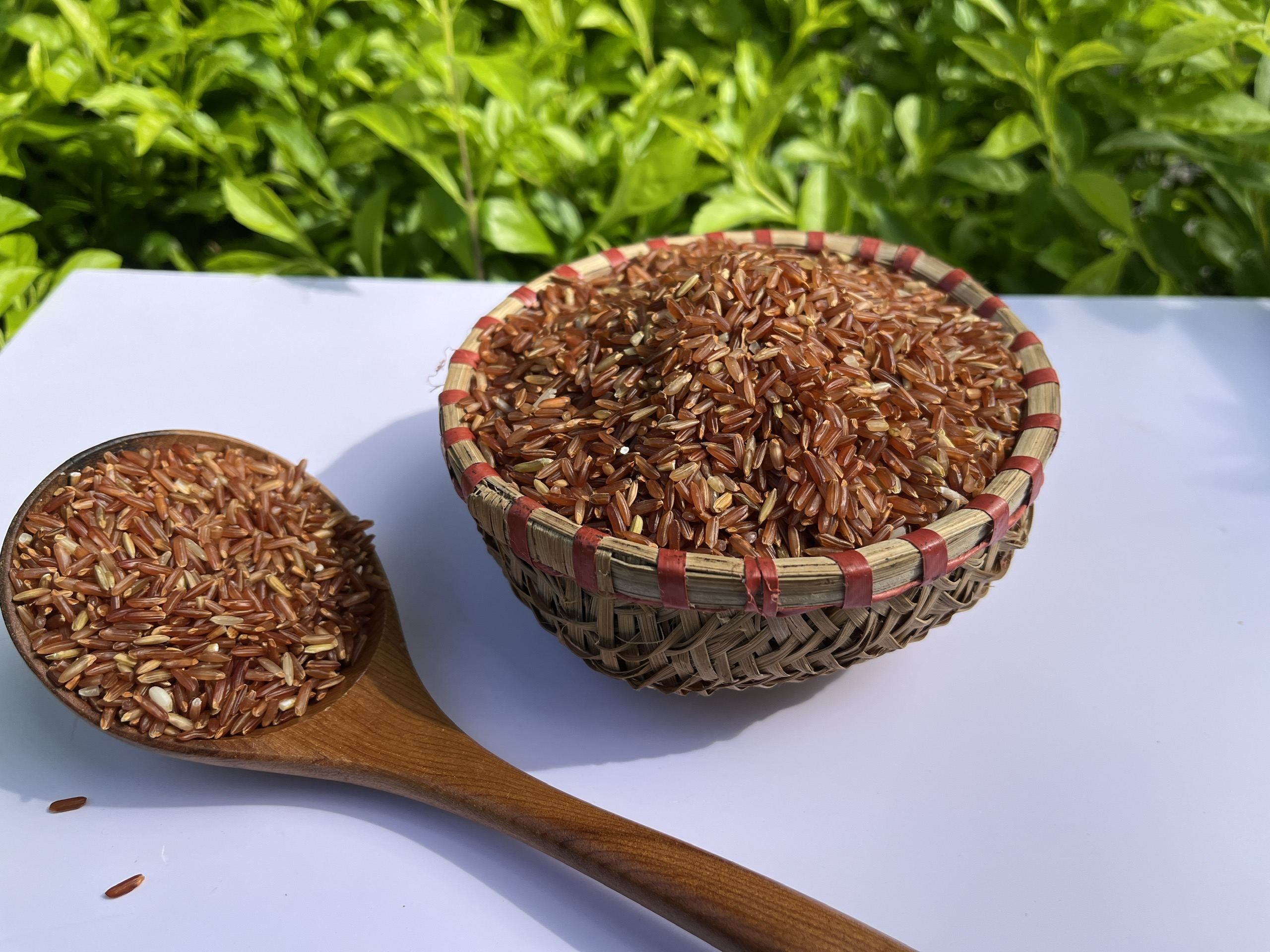 Gạo Lứt – Món Quà Tự Nhiên Cho Sức Khỏe Và Sự An Lành